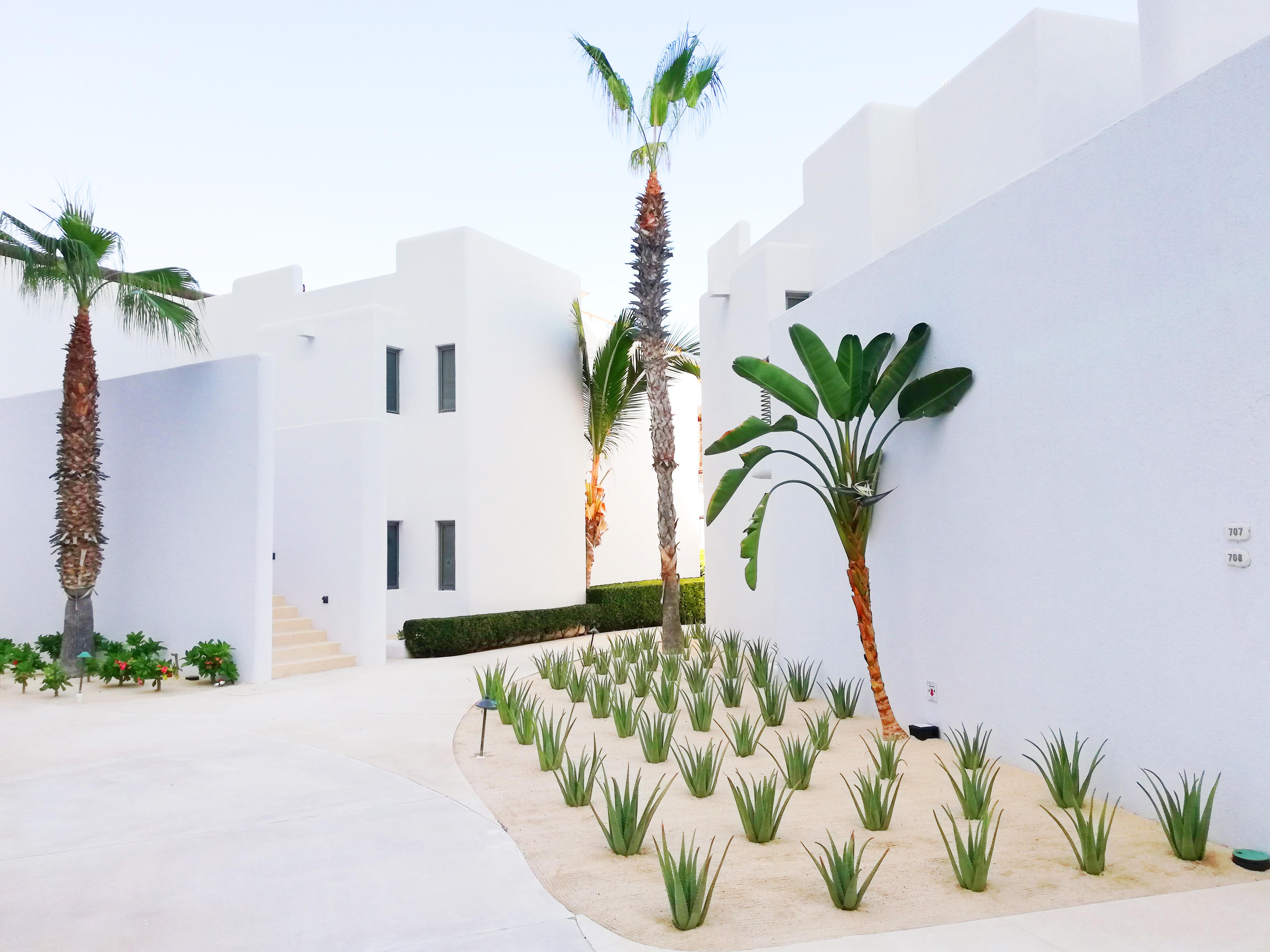 Marquis Los Cabos, An All - Inclusive, Adults - Only & No Timeshare Resort San José del Cabo Eksteriør bilde